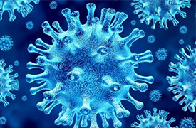 Coronavirus