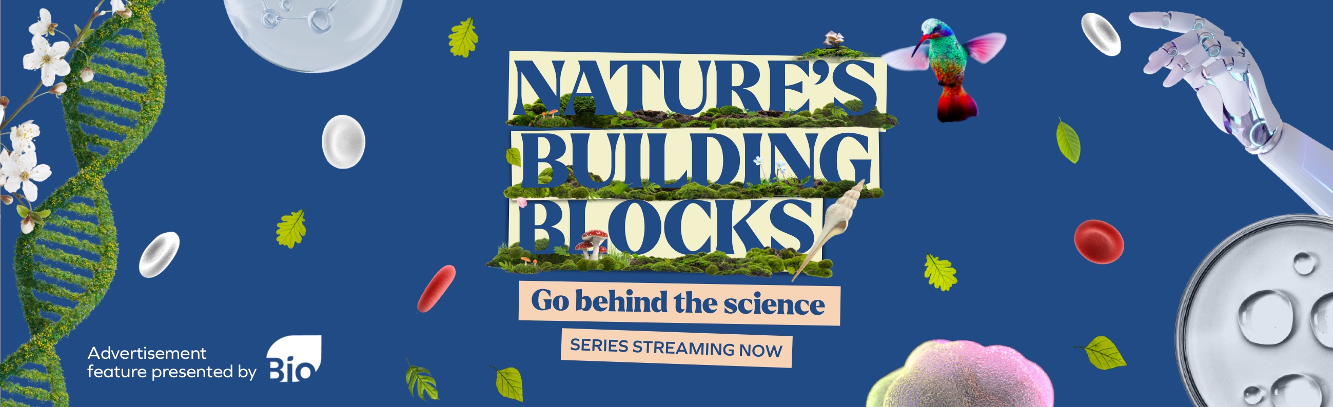 Click to watch Nature's Building Blocks