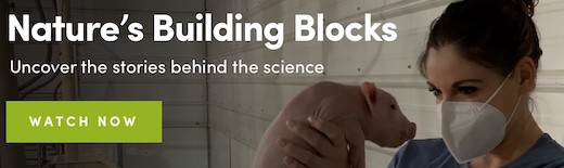 Nature's Building Blocks - Watch Now