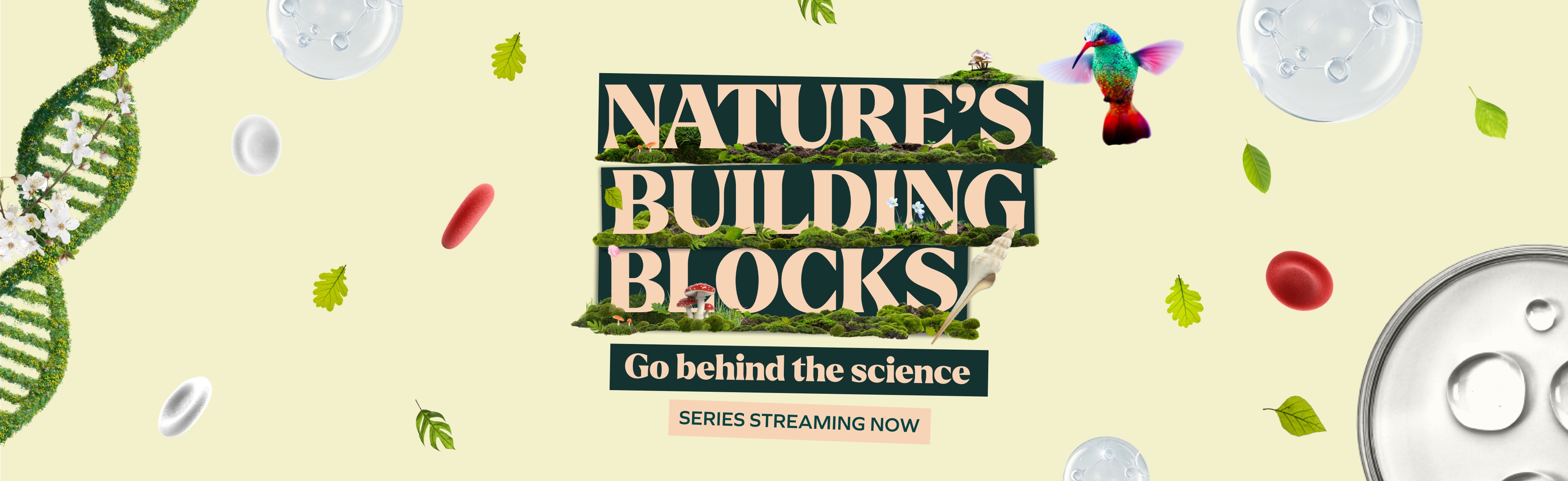 Click to watch Nature's Building Blocks and go behind the science.