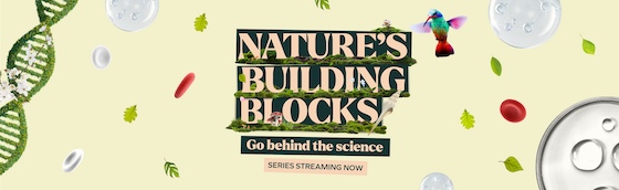 Watch Nature's Building Blocks, produced by BIO and the BBC