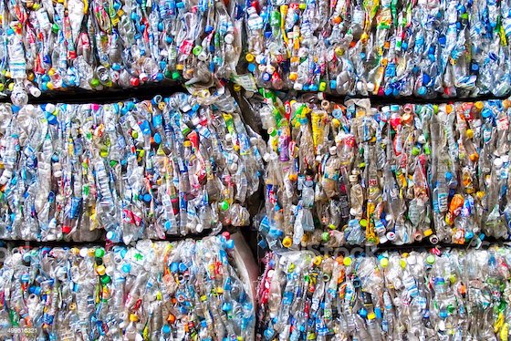 Listen Now: I am BIO Podcast Episode on Solutions to Plastic Pollution